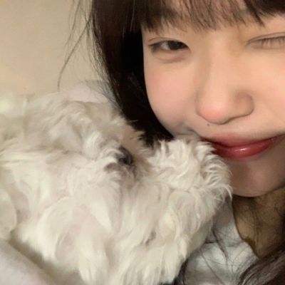 仙子奇踪果盘版下载